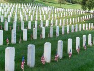 U.S. flags stand in front of the graves of fallen service members on Memorial Day at Arlington National Cemetery in Arlington Va.