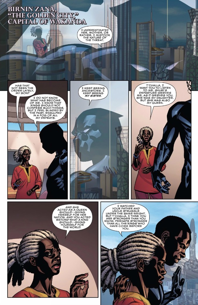 Birnin Zana represents the splendor and excellence that is Wakanda. It is the seat of power of the Black Panther.