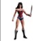 female action figure Wonder Woman