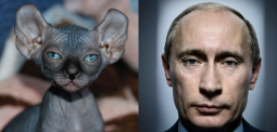 Passport Is On Holiday (But We’ll Still Compare Cat Photos to Putin)