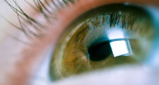 Eye. Eyelash. Eyeball. Vision.
