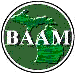 Small BAAM Logo