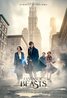 Fantastic Beasts and Where to Find Them (2016) Poster