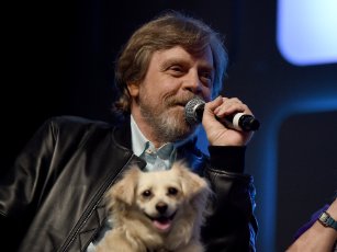 Mark Hamill at an event for Rogue One (2016)