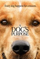 A Dog's Purpose (2017) Poster