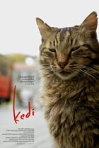Kedi (2016) Poster