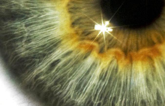 toma de cerca de un ojo humano - SCIENCE PHOTO LIBRARY/Getty Images