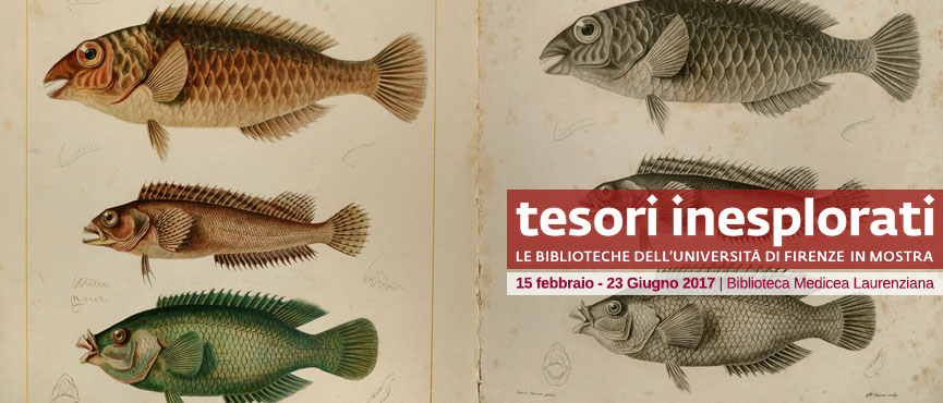 Tesori inesplorati. Le Biblioteche dellUniversit di Firenze in mostra 15 febbraio-23 giugno 2017
