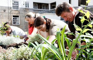 Volunteers working in a garden