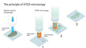 The principles of STED-microscopy. Ill: J. Jarnestad/The Royal Swedish Academy of Sciences