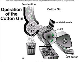 Operation of the cotton gin