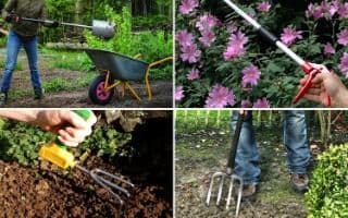 Really useful tools for gardeners with a disability