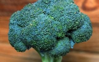 A head of broccoli 