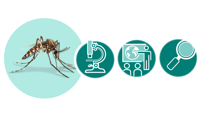  Ilustración de un mosquito, microscopio, icono de presentación y una lupa.