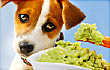 Sad dog and guacamole  