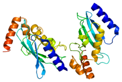 Protein UBE2C PDB 1i7k.png