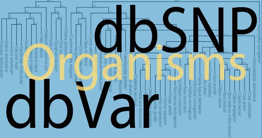 dbSNP and dbVar Organism List