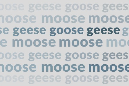 video-moose-goose-weird-plurals