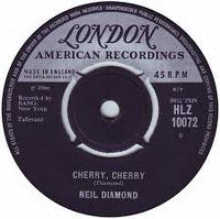 Cover Neil Diamond - Cherry Cherry