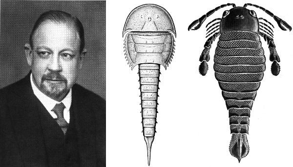 Figure 1 - Left: Richard Heymons, who coined the term Chelicerata. Middle: An example of the extinct group Chasmataspidida. Right: An example of the Eurypterida.