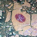 Science-filters study of Martian rock showing hematite