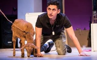 Goats at the Royal Court Theatre
