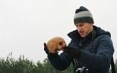 A skull inspected after being found in piles of earth removed for a new shop