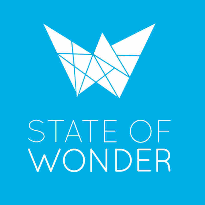 State of Wonder