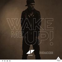 Cover Avicii - Wake Me Up!