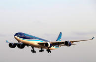Winter campaign from Azerbaijan Airlines: sale on air tickets to Istanbul, Kiev