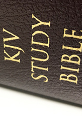 KJV Study Bibles