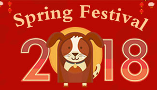 Spring Festival 2018