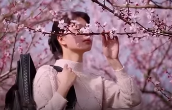 A pink sea of peach blossoms attracts tourists to eastern China