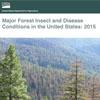 A cover of publication that reads Major Forest Insect and Disease Conditions in the United States: 2015