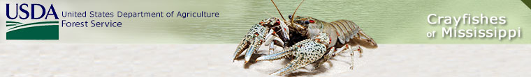 USDA Forest Service - Mississippi Crayfish Populations