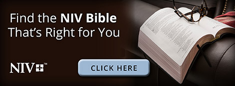 Find the Right NIV Bible for You