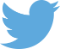 Blue twitter logo bird