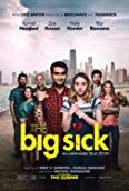 Holly Hunter, Ray Romano, Anupam Kher, Zoe Kazan, Adeel Akhtar, Zenobia Shroff, and Kumail Nanjiani in The Big Sick (2017)