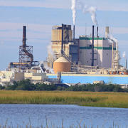 Industrial water use: Brunswick Cellulose paper plant, Brunswick, Georgia