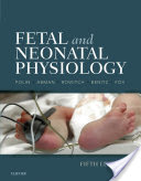 Fetal and Neonatal Physiology E-Book
