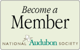 Become a Member