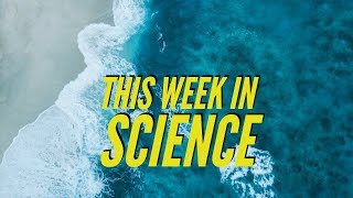 3D Replicator, Organs from stem cells, Warmer & bluer oceans – This Week in Science