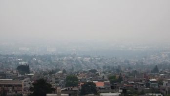 Air pollution linked to psychotic episodes in teenagers, study claims
