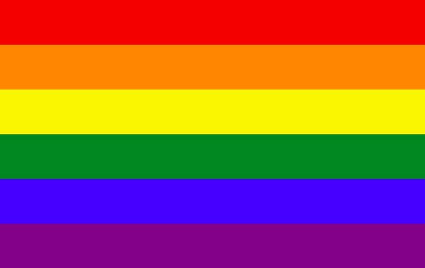 Gilbert Baker of San Francisco designed the first rainbow flag in 1978. He decorated the original with eight stripes to represent the following: pink for sexuality, red for life, orange for healing, yellow for the sun, green for nature, blue for art, indigo for harmony and violet for spirit.

The 1978 Gay and Lesbian Freedom Day March adopted the flag, as did the 1979 Pride Parade Committee after the assassination of Harvey Milk, California's first openly gay public official.

The flag was reduced to seven colors because hot pink dye was not commercially available, and the 1979 Pride Parade Committee eliminated indigo so it could divide the colors evenly along the parade route.

The version with six stripes is now recognized around the world.