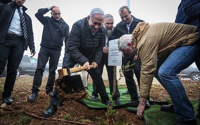 Prime Minister Benjamin Netanyahu plants an olive tree at the Netiv Ha'avot neighborhood in the Elazar settlement in the West Bank, on January 28, 2019. (Marc Israel Sellem/POOL)