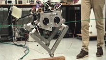 WATCH: UCT students build SA's first jumping robot
