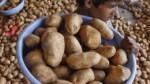 Gujarat govt offers to play the umpire; suggests PepsiCo India make it a party to contracts with potato farmers