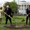 Trump and Macron planted a friendship tree. Now it's dead