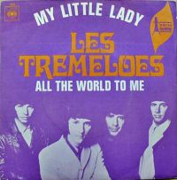 Cover The Tremeloes - My Little Lady