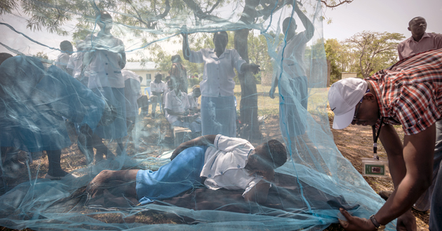 Une femme est allongée sous une moustiquaire imprégnée d'insecticide